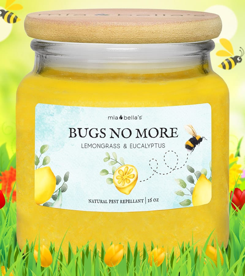 Bugs No More Candle